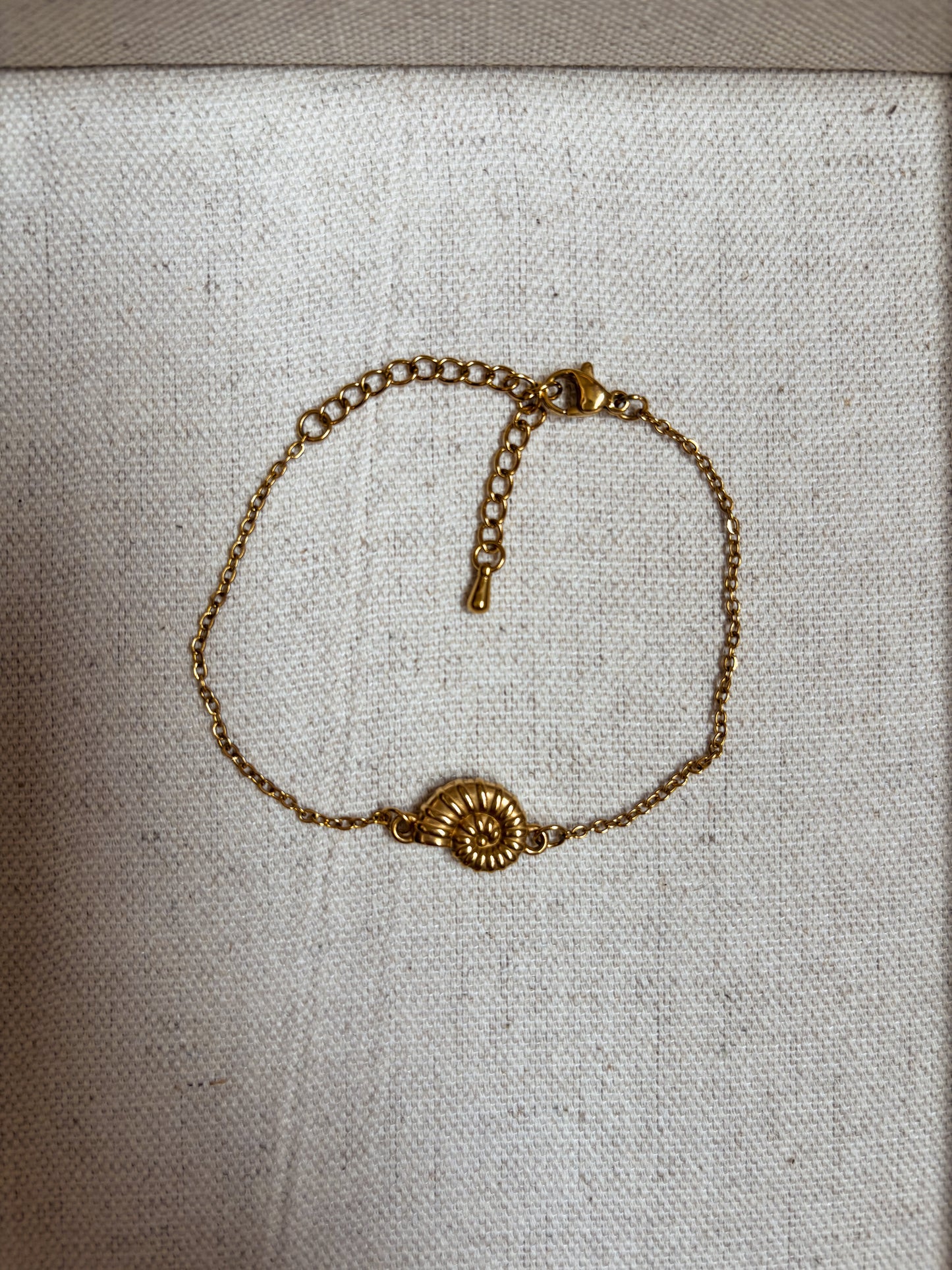 Shellmark Nautilus Bracelet