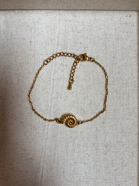 Shellmark Nautilus Bracelet